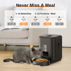 HEYBO Smart Pet Feeder | Automatic, 2L Capacity for Cats & Dogs