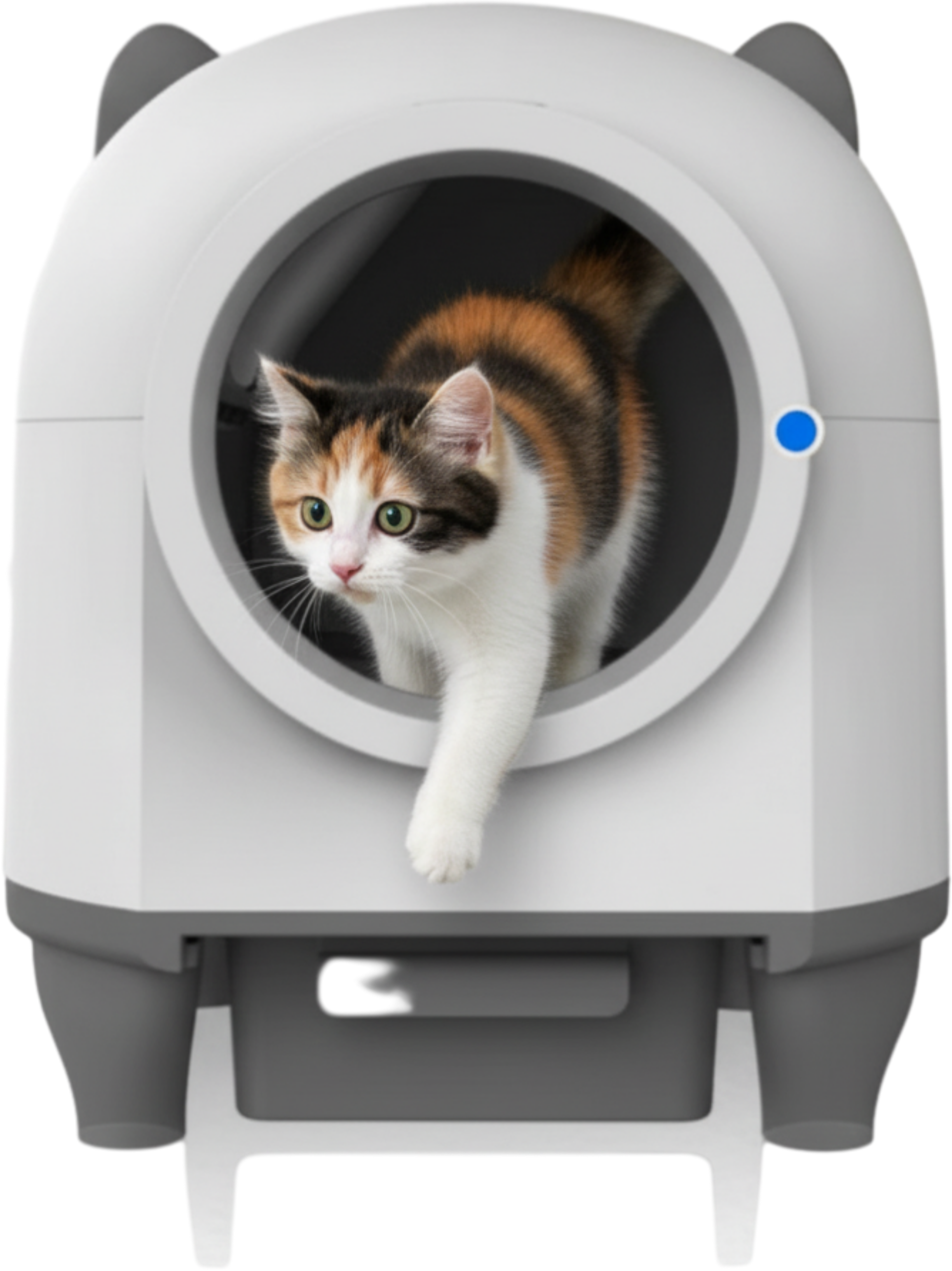 HEYBO Self-Cleaning Automatic Cat Litter Box – 80L
